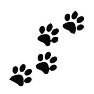 Sticker auto "Urme de labute animal'', 13x13cm, Negru